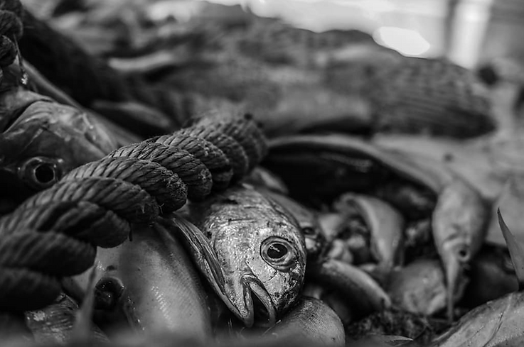 Screenshot 2026-04-24 at 14.46.14.png