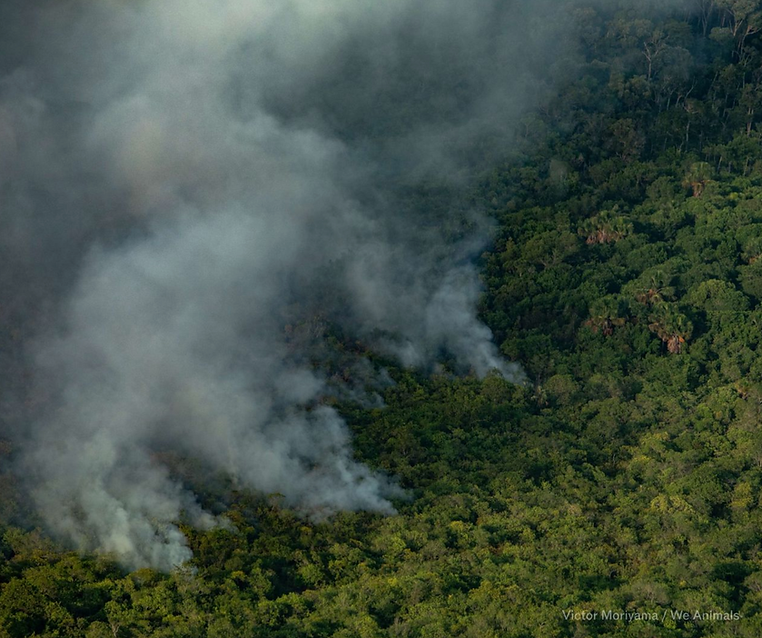 Screenshot 2026-04-24 at 13.34.06.png