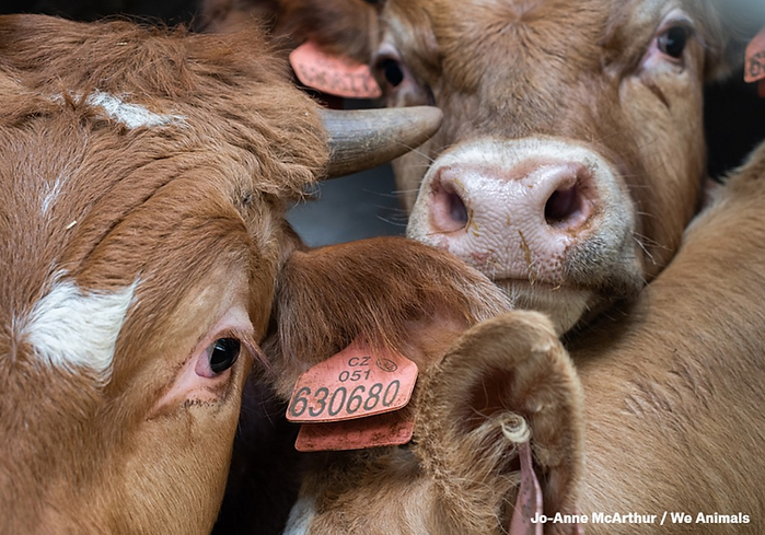 Screenshot 2026-04-24 at 13.43.56.png