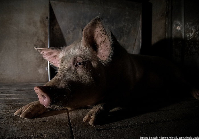 Screenshot 2026-04-24 at 13.45.15.png