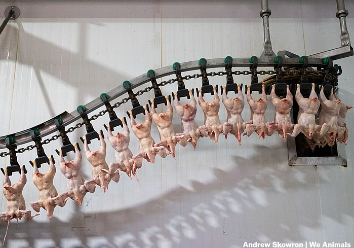 Screenshot 2026-04-24 at 13.33.40.png