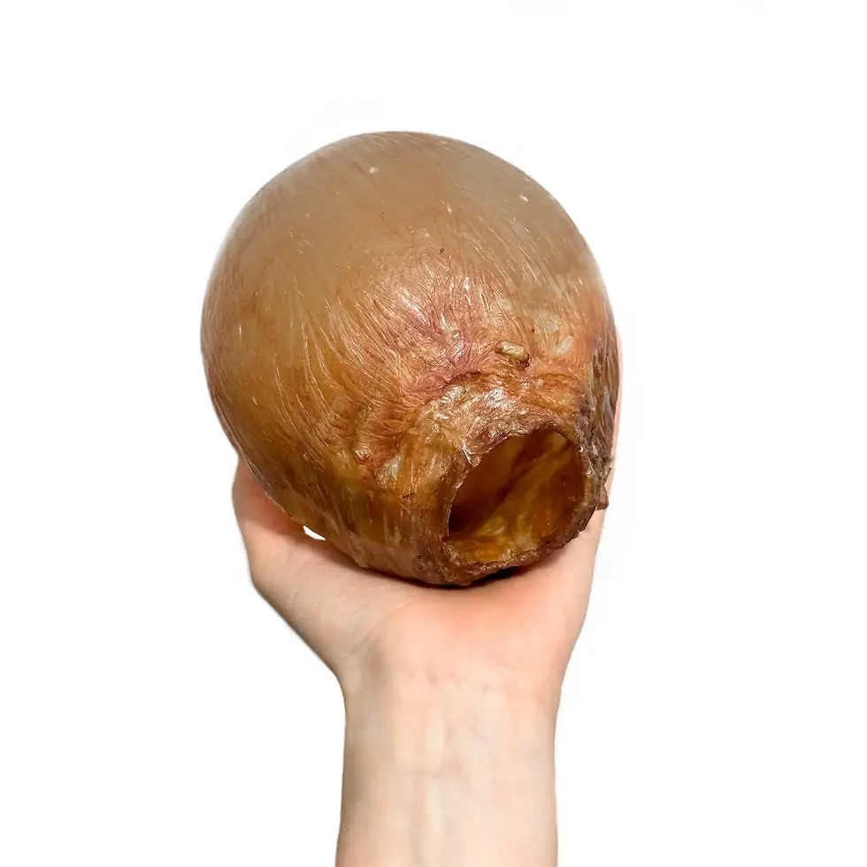 Miniatura: Imagem ilustrativa do Mordedor Ovo de Páscoa da fabricante Luv sobre uma mão humana.