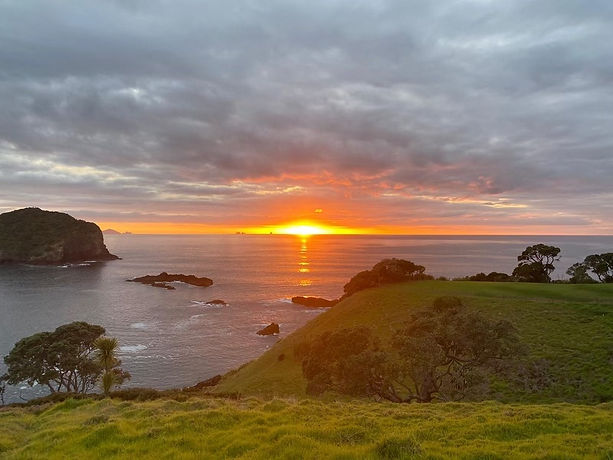 TUTUKAKA.jpg