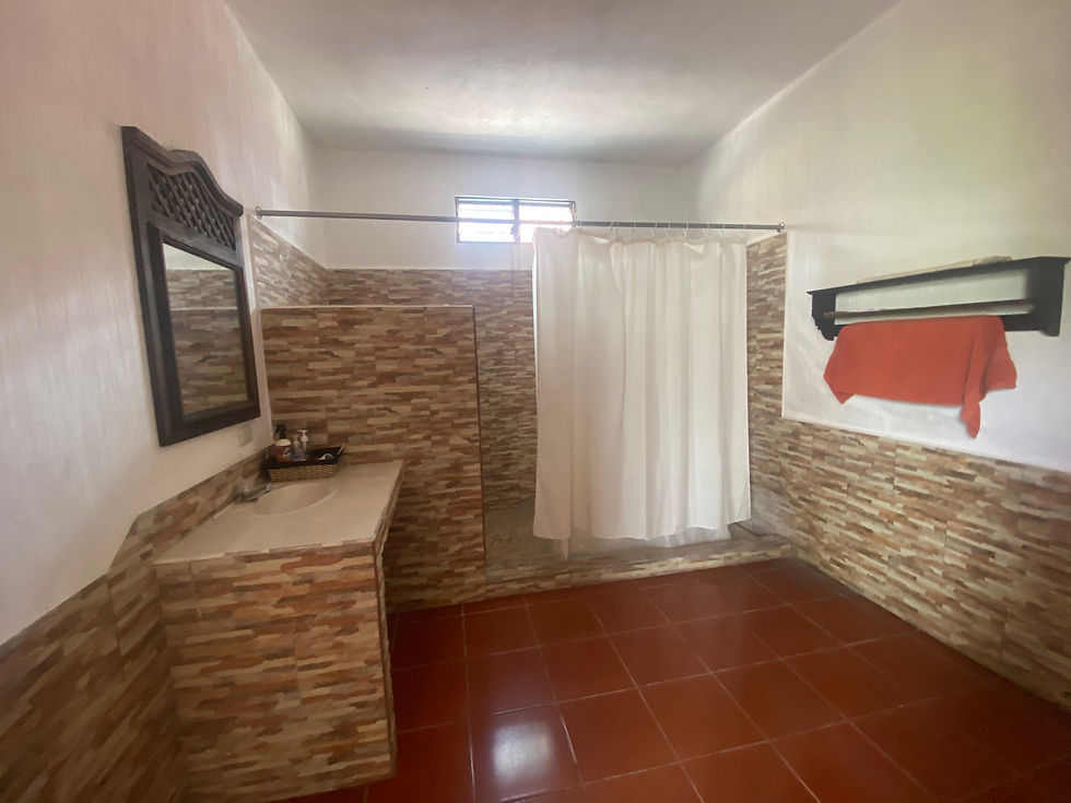 Miniatura: CASA DE CAMPO EN SAN FELIPE REU 