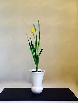 Shoka Ikebana Ikenobo Japanese Flower arranging