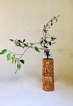Shoka Shofutai Ikebana Ikenobo Japanese Flower arranging