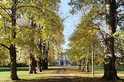 13029634_1593789220910974_560525365548616344_o_edited