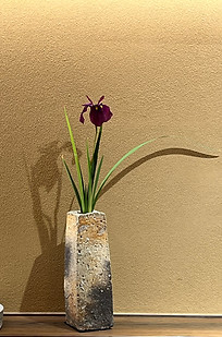 Arrangement in Japanese restaurant in London Ikebana Ikenobo Japanese Flower arranging