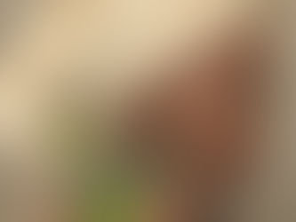 Produtos indispensáveis para uma rotina Skincare