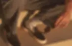 RAEN