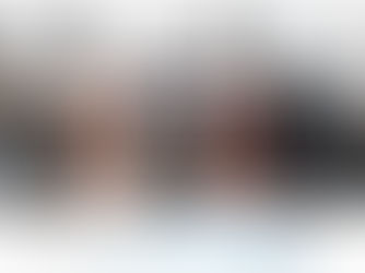 The functionality of the Site