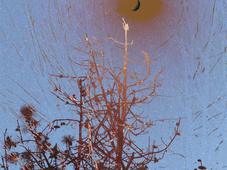 Ubiquity (REvurs Sky)