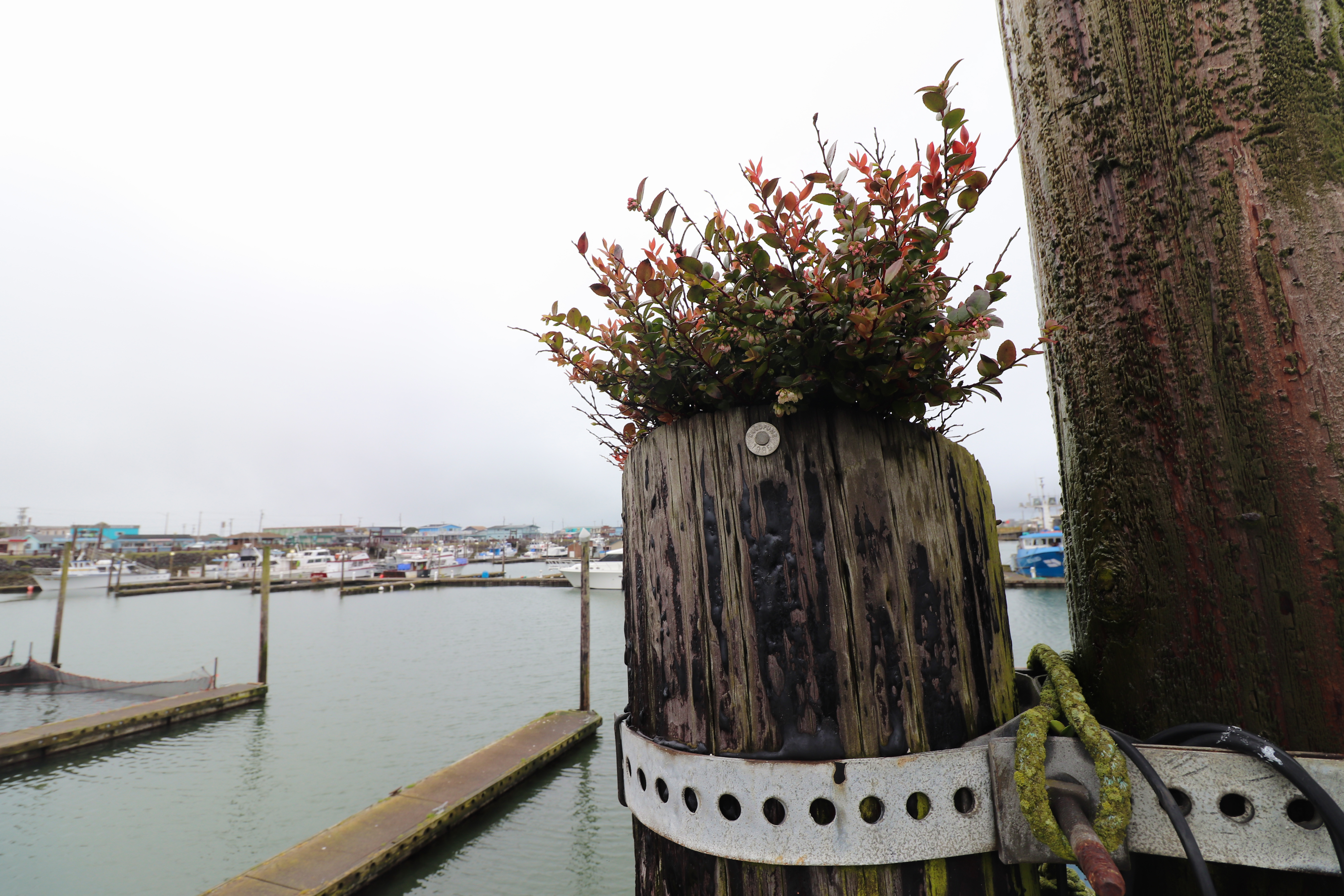 Safe Harbor