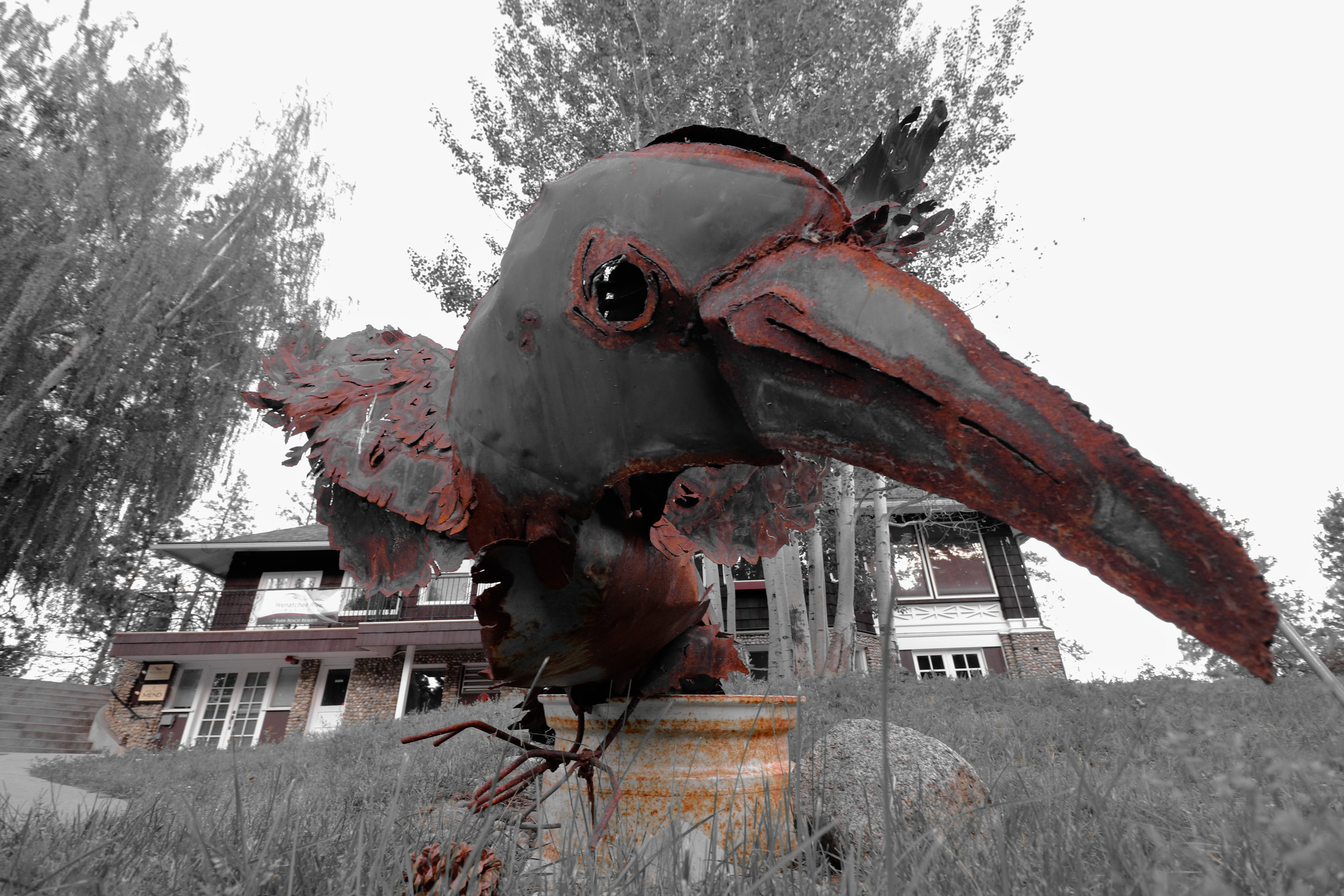 Iron Crow