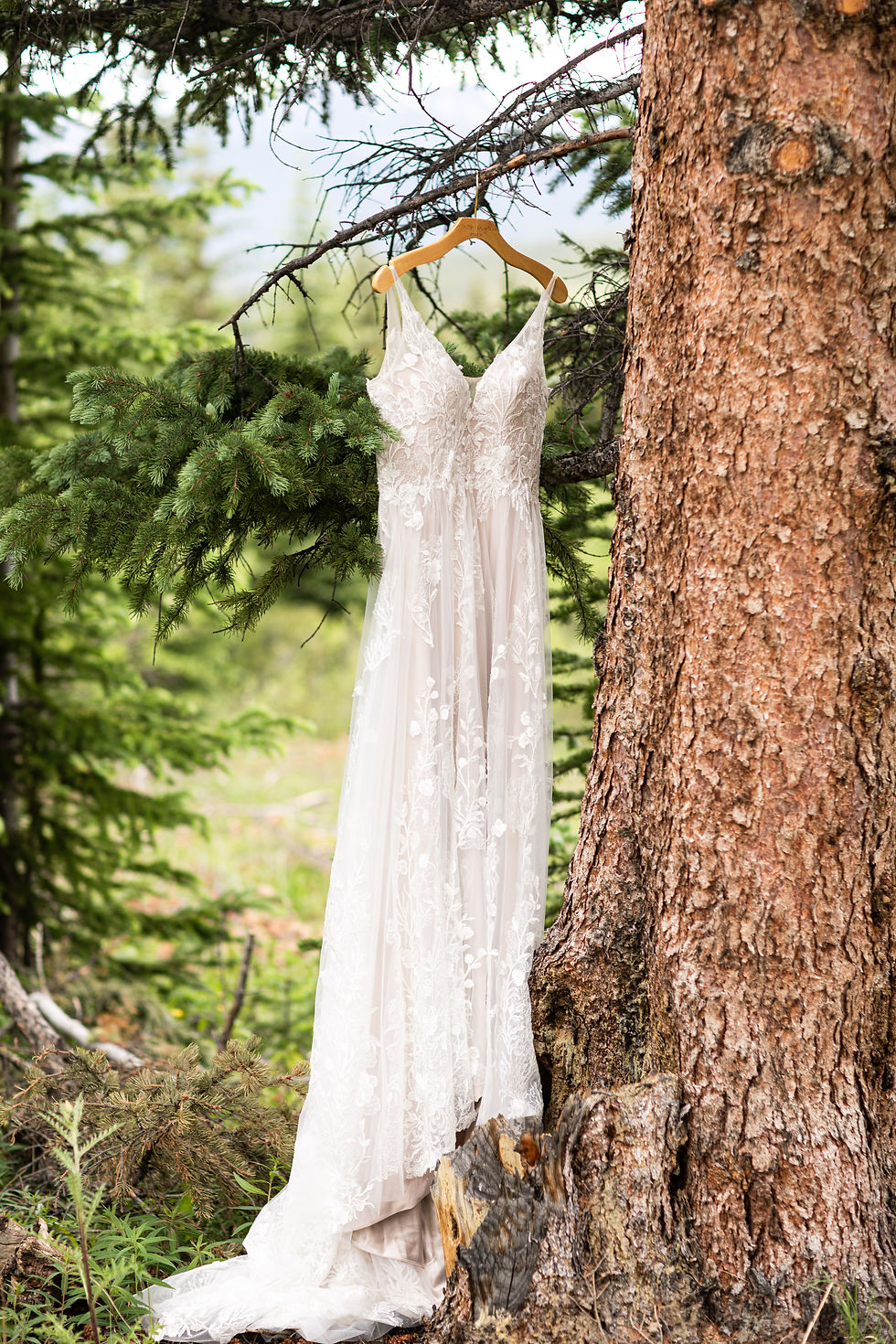 Bridal Gown by Madi Lane Bridal