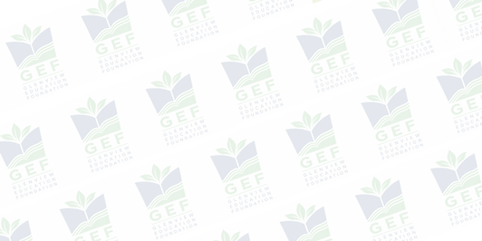 GEF LOGO BACKSPLASH
