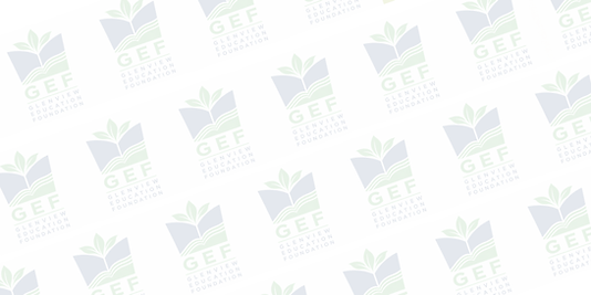 GEF LOGO BACKSPLASH