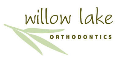 WILLOWLAKE%20logo.jpg