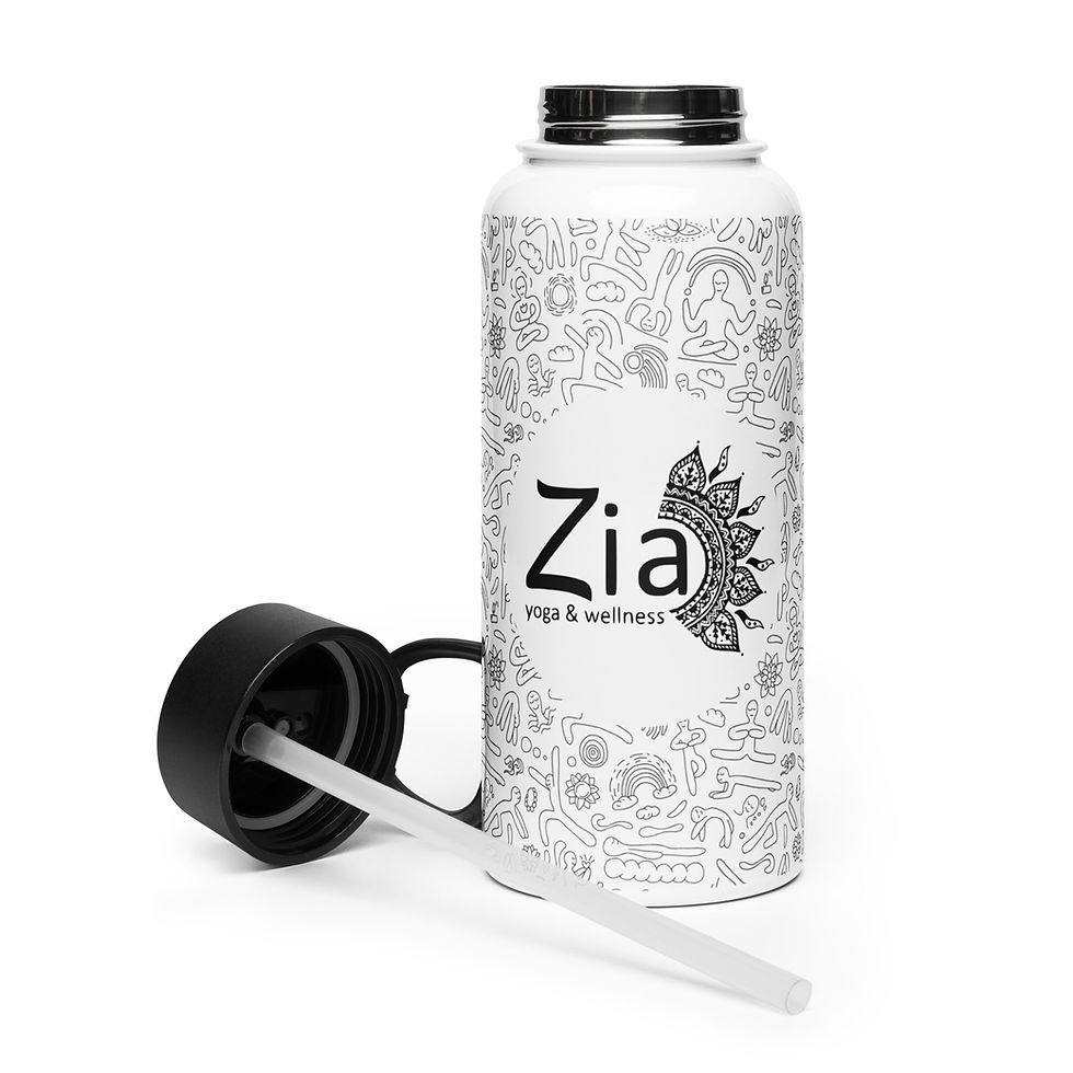 Thumbnail: Zia Stainless Steel Water Bottle With Straw Lid