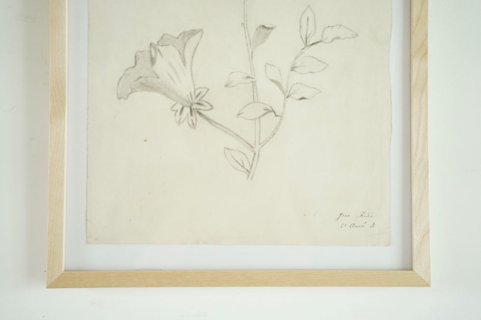 サムネイル： 額装のデッサン画  花