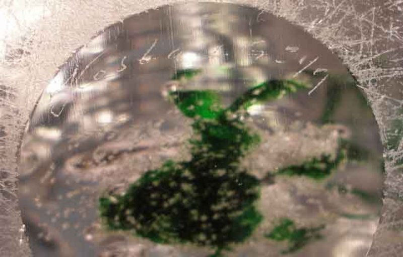 Miniaturbild: Sea-Weed Vase with Engraved Fish. Lindstrand