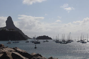 Preparativos da Refeno 2025 contam com palestra do ICMBio de Fernando de Noronha