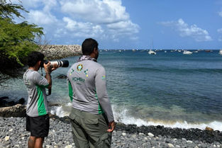 ICMBio-Noronha intensifica monitoramento do mergulho livre e faz alerta sobre interação com tubarões