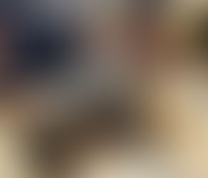 Tartaruga-verde resgatada em Noronha é transferida para reabilitação no continente