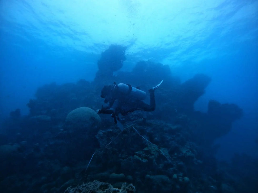 ICMBio-FN participa da expedição de monitoramento de recifes de coral em Abrolhos