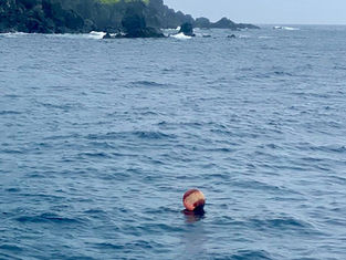 Poitas dos pontos de mergulhos do Parnamar de Fernando de Noronha recebem manutenção