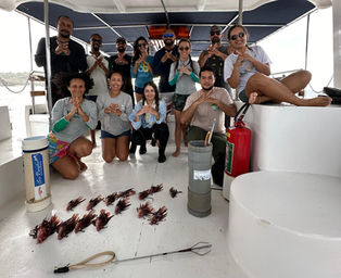 Manejo do peixe-leão une Parques nacionais marinhos de Noronha e Abrolhos