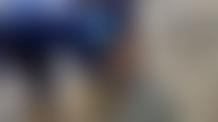 Vida inicial dos tubarões-limão é foco de pesquisa desenvolvida em praias de Noronha