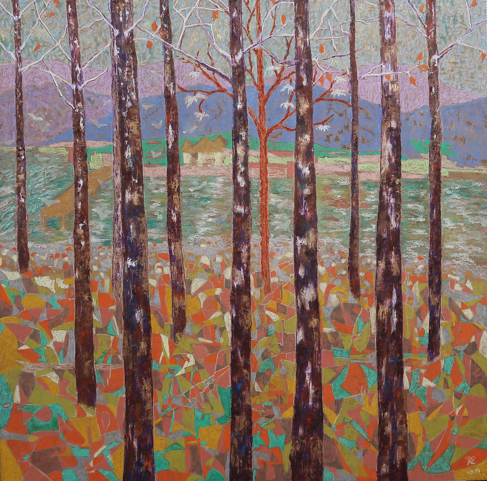 La Forêt qui cache ..