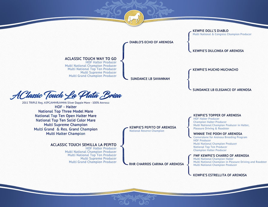 AClassic Touc La Plata Brisa Pedigree