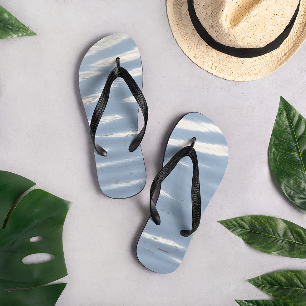 Thumbnail: Flip-Flops