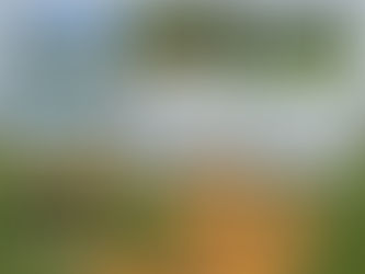 Helensburgh Cricket Club – Weekend Wrap (Round 17)