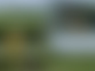 Helensburgh Cricket Club – Round 16 Weekend Wrap