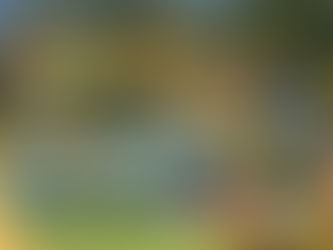 Weekly Match Review – Round 13 One Day Matches