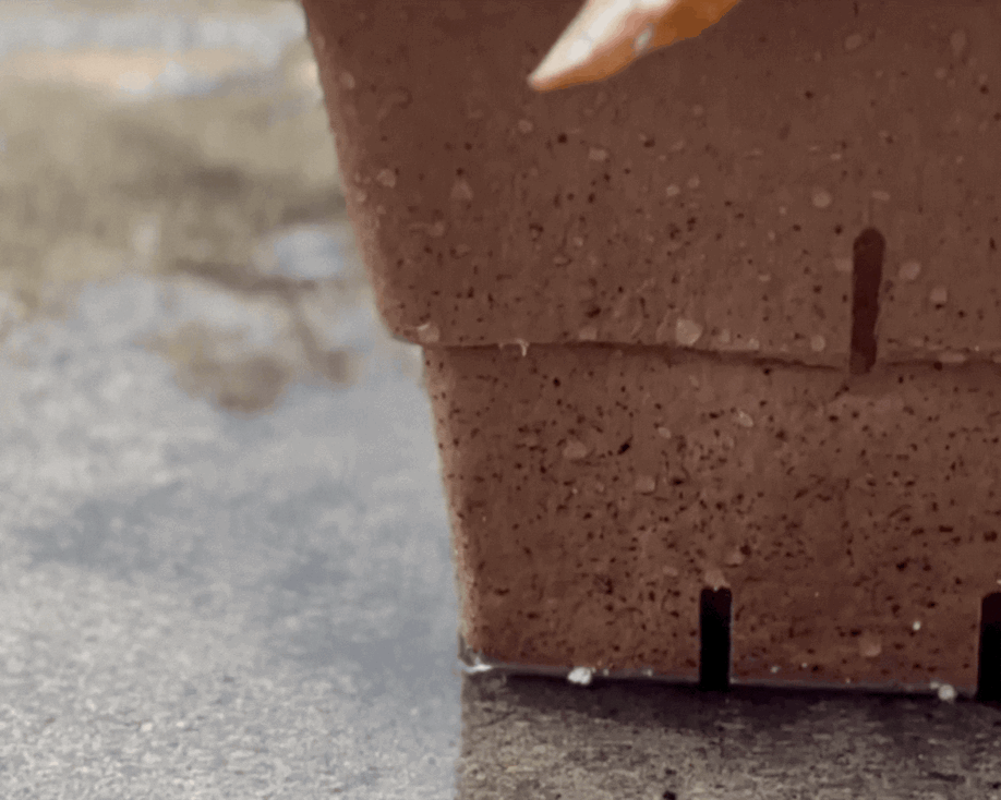 Untitled design (3).GIF