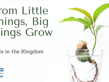 From Little Things, Big Things Grow.