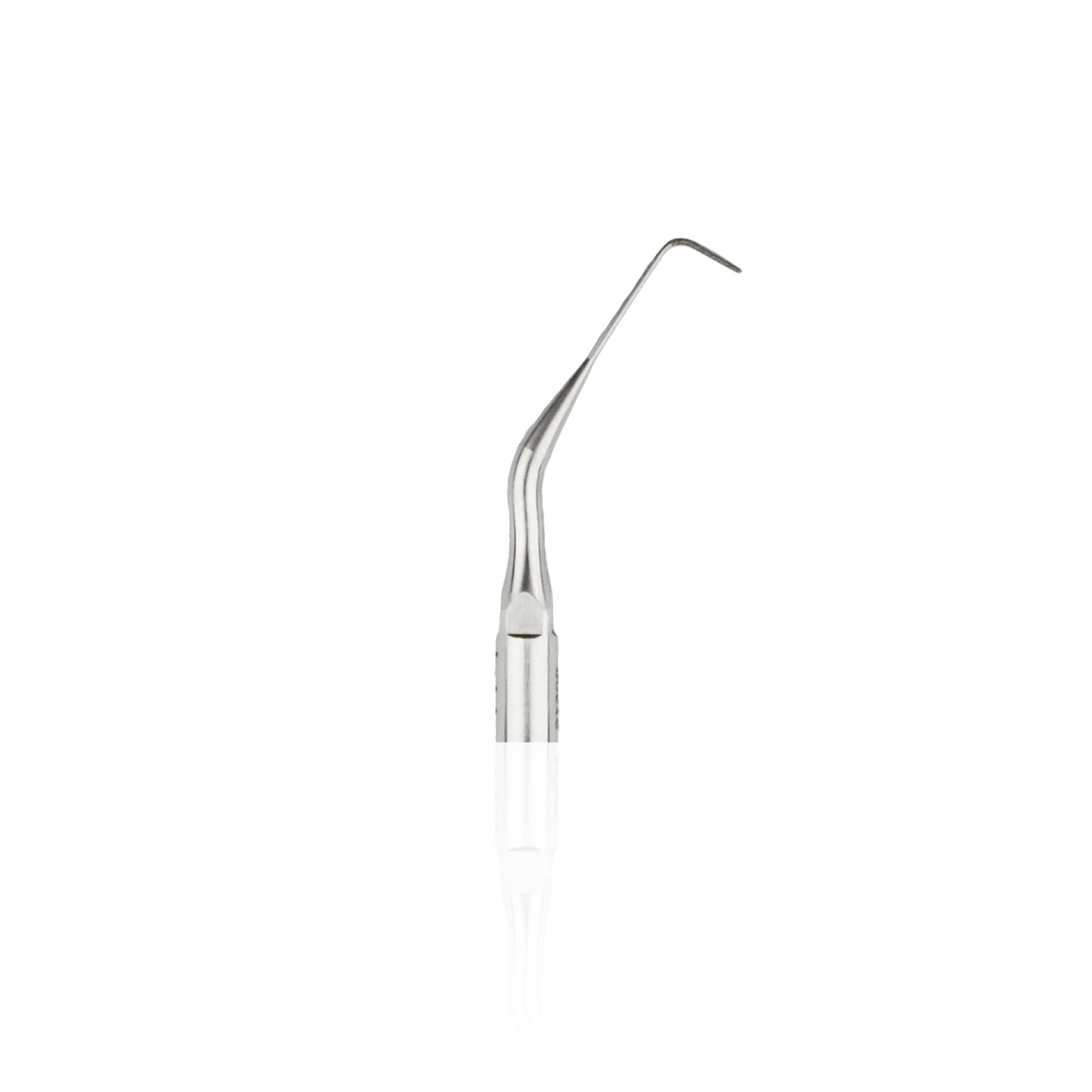 P1T Quirúrgica Fina