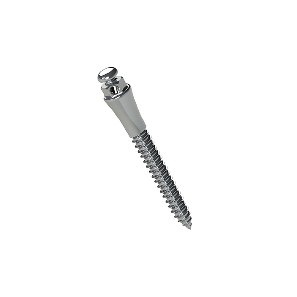 Mini Tornillo Extra-radicular