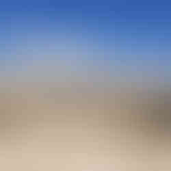 The sprawling ancient Jewish cemetery on the Mount of Olives overlooking the Old City.