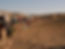 The Family Israel Experince: Jerusalem, the Negev, the Galilee & the Golan