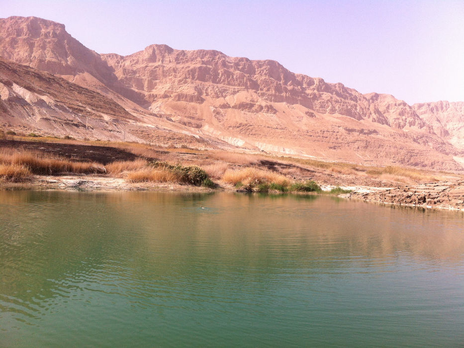 Natural water spring at Ein Gedi Nature Reserve with the Judean Desert mountains in the background.
