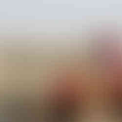 Family on a camel ride at the Mount of Olives overlooking the Old City of Jerusalem and the Dome of the Rock.