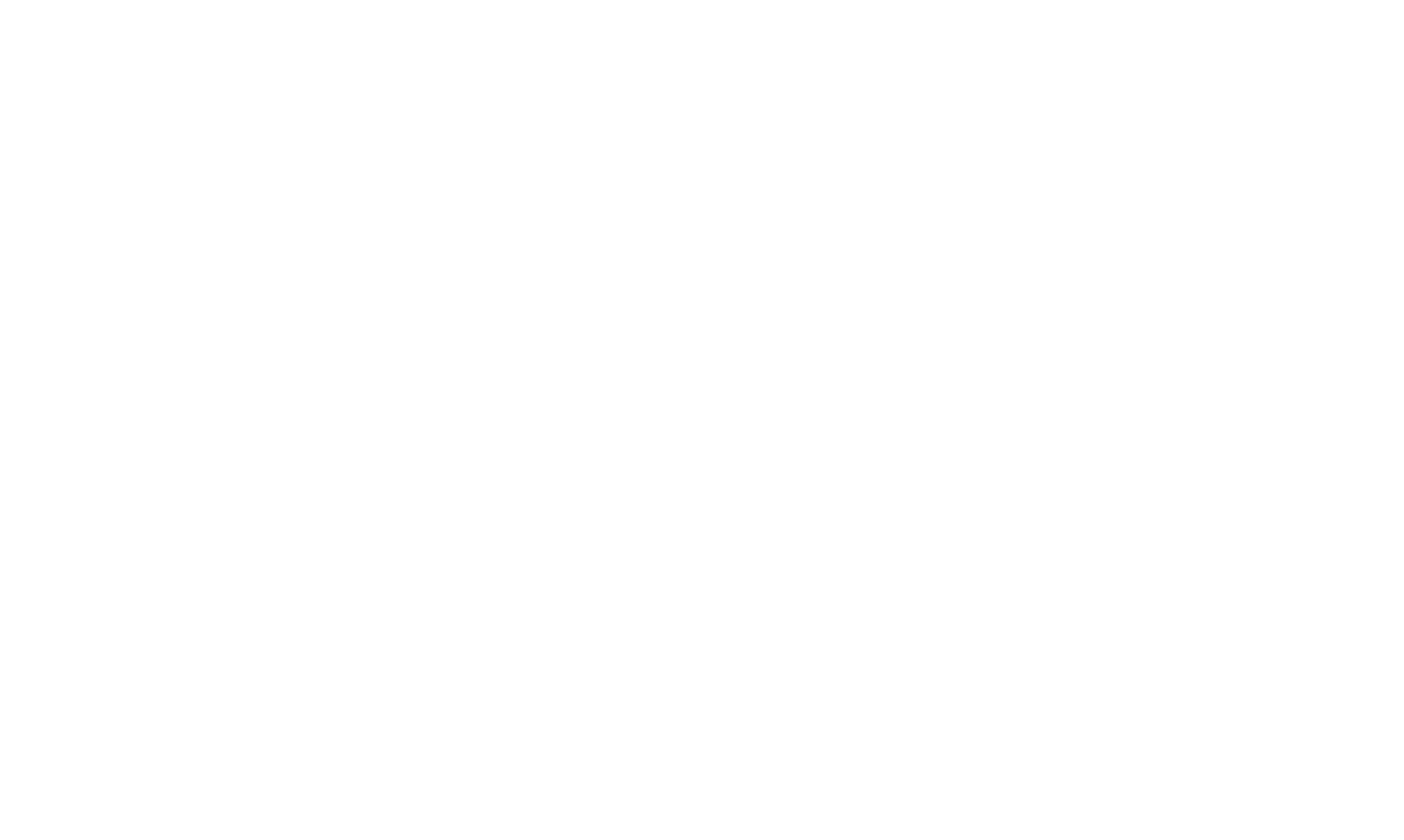 sagi levi tour guid logo w.png