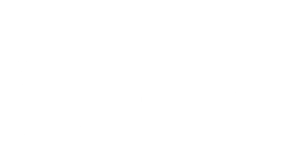 sagi levi tour guid logo w.png