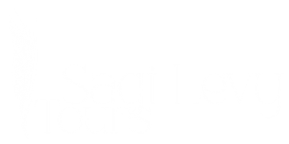 Levy Israel Tours logo - private luxury Israel tour company