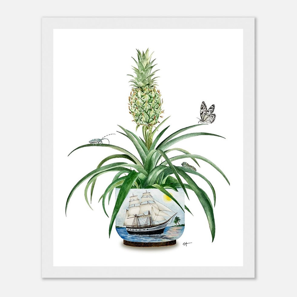 Thumbnail: First Pineapple in Europe